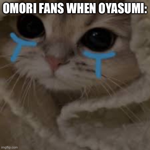 omor | OMORI FANS WHEN OYASUMI: | image tagged in omori | made w/ Imgflip meme maker