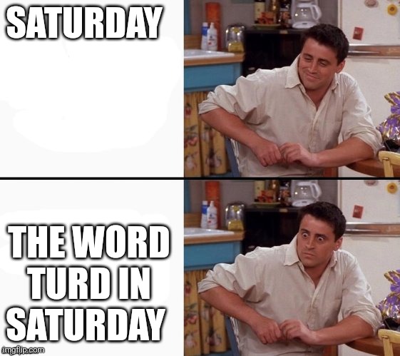 Comprehending Joey | SATURDAY THE WORD TURD IN SATURDAY | image tagged in comprehending joey | made w/ Imgflip meme maker