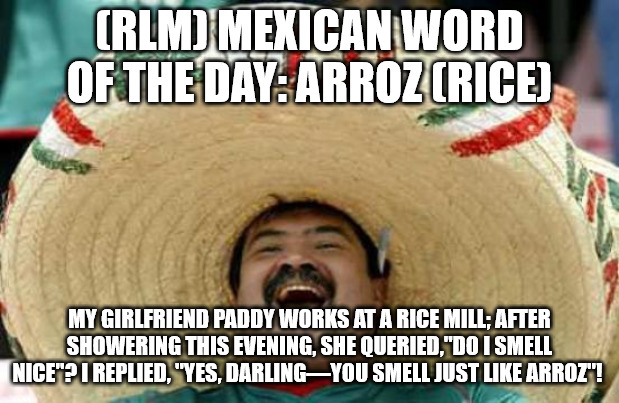 Happy Mexican | (RLM) MEXICAN WORD OF THE DAY: ARROZ (RICE); MY GIRLFRIEND PADDY WORKS AT A RICE MILL; AFTER SHOWERING THIS EVENING, SHE QUERIED,"DO I SMELL NICE"? I REPLIED, "YES, DARLING—YOU SMELL JUST LIKE ARROZ"! | image tagged in happy mexican | made w/ Imgflip meme maker
