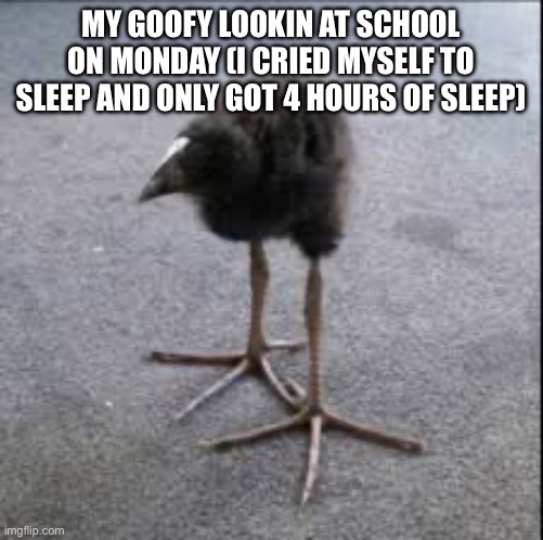 MY GOOFY LOOKIN AT SCHOOL ON MONDAY (I CRIED MYSELF TO SLEEP AND ONLY GOT 4 HOURS OF SLEEP) | made w/ Imgflip meme maker