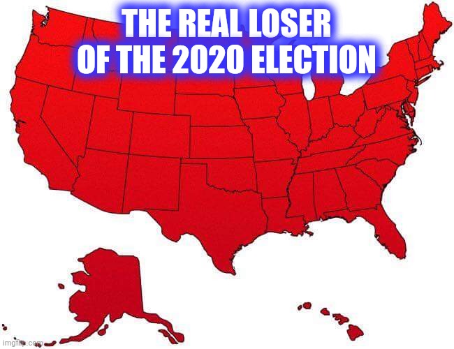 US Map | THE REAL LOSER OF THE 2020 ELECTION | image tagged in us map | made w/ Imgflip meme maker