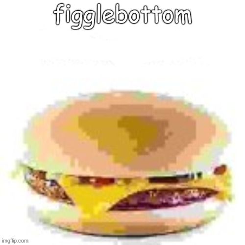 first degree murder | figglebottom | image tagged in first degree murder | made w/ Imgflip meme maker