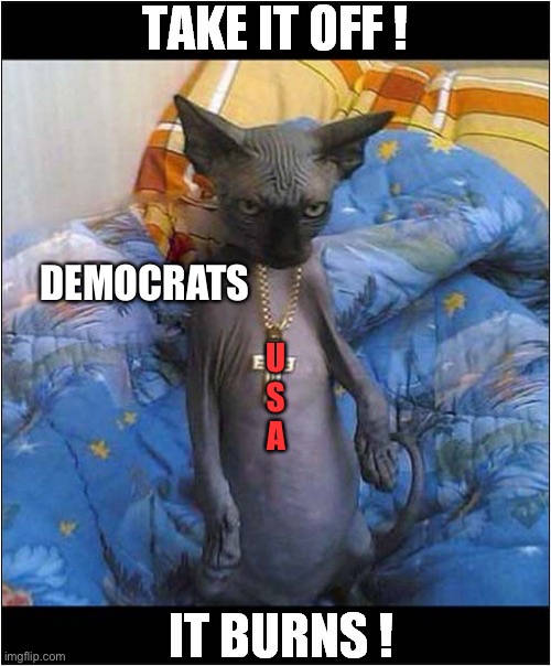 U
S
A DEMOCRATS | made w/ Imgflip meme maker