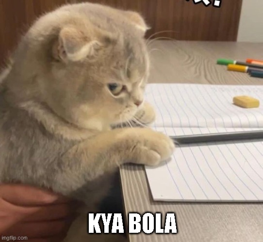 cat meme | KYA BOLA | image tagged in cute cat,cat,side eye,meme,funny meme | made w/ Imgflip meme maker