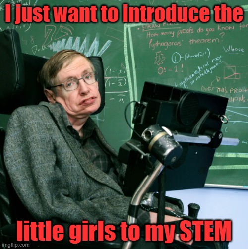 S.T.E.M. | I just want to introduce the; little girls to my STEM | image tagged in science,technology,energy,math,stephen hawking,jeffrey epstein | made w/ Imgflip meme maker