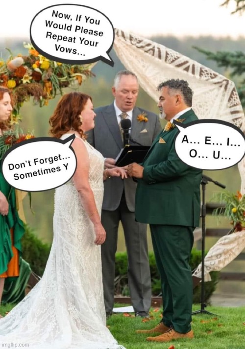 Vows | image tagged in dad joke | made w/ Imgflip meme maker