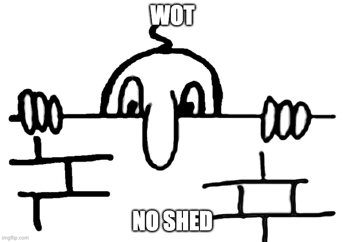 Wot No Chad | WOT; NO SHED | image tagged in wot no chad | made w/ Imgflip meme maker