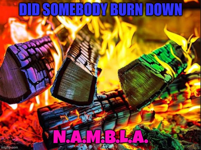 NAMBLA | DID SOMEBODY BURN DOWN; N.A.M.B.L.A. | image tagged in pedophile,pedo,pedophiles,jeffrey epstein,epstein,bill clinton | made w/ Imgflip meme maker