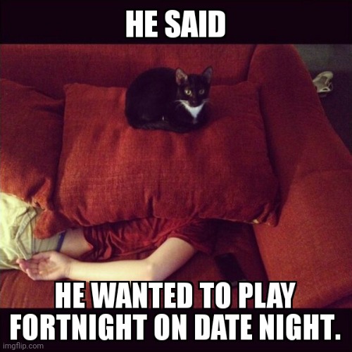 Fortnight cat | image tagged in cats,fortnight,smother,meme,joke | made w/ Imgflip meme maker