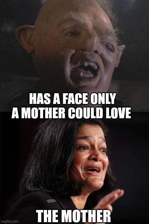 Jayapal meme | HAS A FACE ONLY A MOTHER COULD LOVE; THE MOTHER | image tagged in funny memes | made w/ Imgflip meme maker