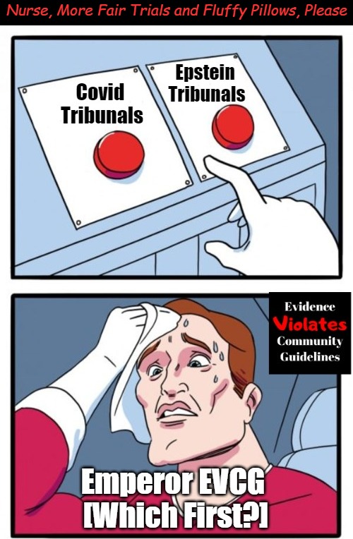 Nurse, More Fair Trials and Fluffy Pillows, Please | Nurse, More Fair Trials and Fluffy Pillows, Please | image tagged in covid,epstein,crime and punishment,justice,covid crimes,esptein crimes | made w/ Imgflip meme maker