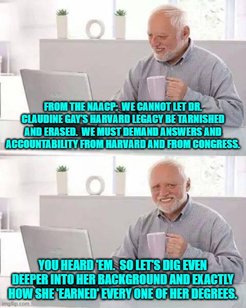 In this case the NAACP is NOT Claudine Gay's . . . friend. | FROM THE NAACP:  WE CANNOT LET DR. CLAUDINE GAY’S HARVARD LEGACY BE TARNISHED AND ERASED.  WE MUST DEMAND ANSWERS AND ACCOUNTABILITY FROM HARVARD AND FROM CONGRESS. YOU HEARD 'EM.  SO LET'S DIG EVEN DEEPER INTO HER BACKGROUND AND EXACTLY HOW SHE 'EARNED' EVERY ONE OF HER DEGREES. | image tagged in hide the pain harold | made w/ Imgflip meme maker