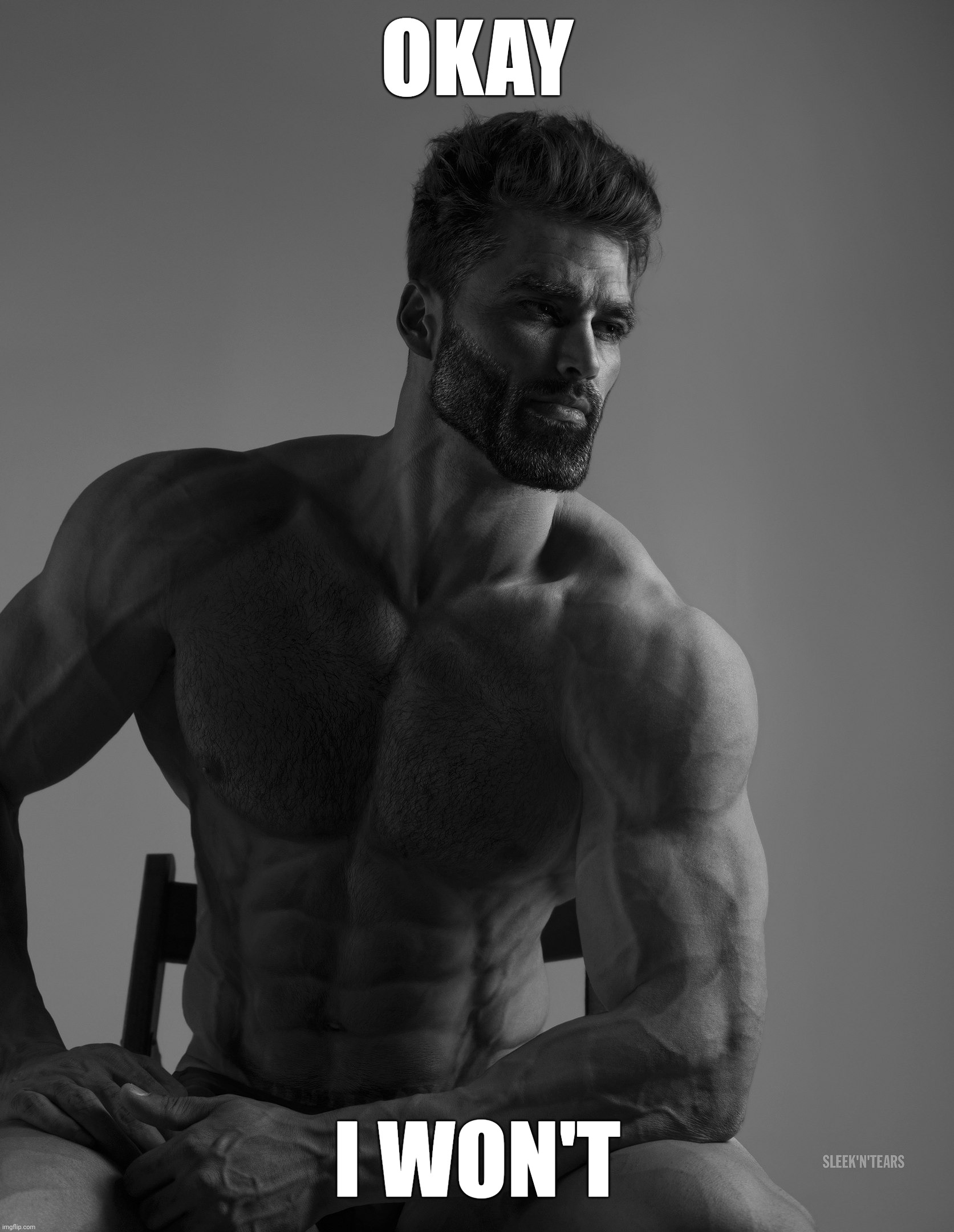 Giga Chad | OKAY I WON'T | image tagged in giga chad | made w/ Imgflip meme maker