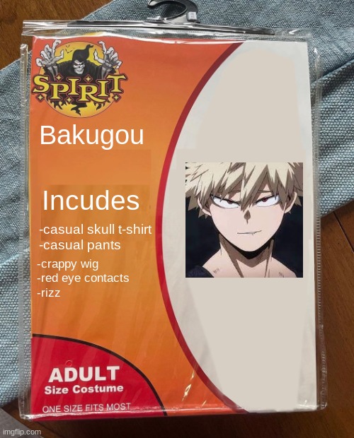 rizz | Bakugou; Incudes; -casual skull t-shirt
-casual pants; -crappy wig
-red eye contacts
-rizz | image tagged in spirit halloween,bakugo,mha,anime | made w/ Imgflip meme maker