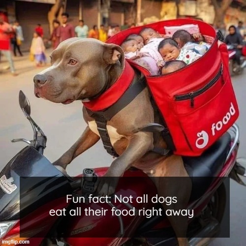 Facts | Fun fact: Not all dogs eat all their food right away | image tagged in dark humor,funny,ai,nsfw | made w/ Imgflip meme maker