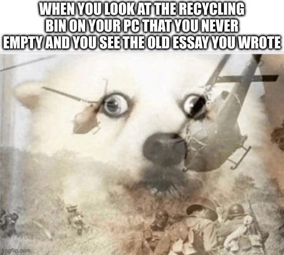 All the suffering from finding sources | WHEN YOU LOOK AT THE RECYCLING BIN ON YOUR PC THAT YOU NEVER EMPTY AND YOU SEE THE OLD ESSAY YOU WROTE | image tagged in ptsd dog,essays,school | made w/ Imgflip meme maker