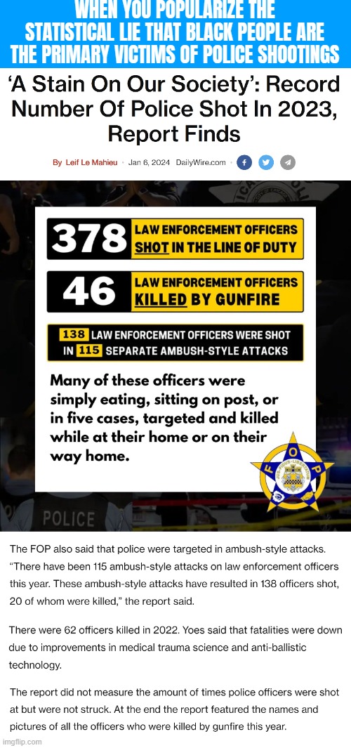 Gov. Statistics: Whites are more often shot, while Black people are more often handled roughly. A trade-off? | WHEN YOU POPULARIZE THE STATISTICAL LIE THAT BLACK PEOPLE ARE THE PRIMARY VICTIMS OF POLICE SHOOTINGS | image tagged in american politics | made w/ Imgflip meme maker