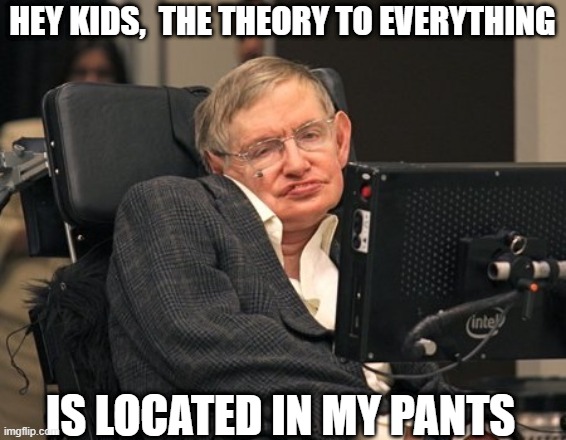 Stephen on the Island | HEY KIDS,  THE THEORY TO EVERYTHING; IS LOCATED IN MY PANTS | image tagged in stephen hawking | made w/ Imgflip meme maker