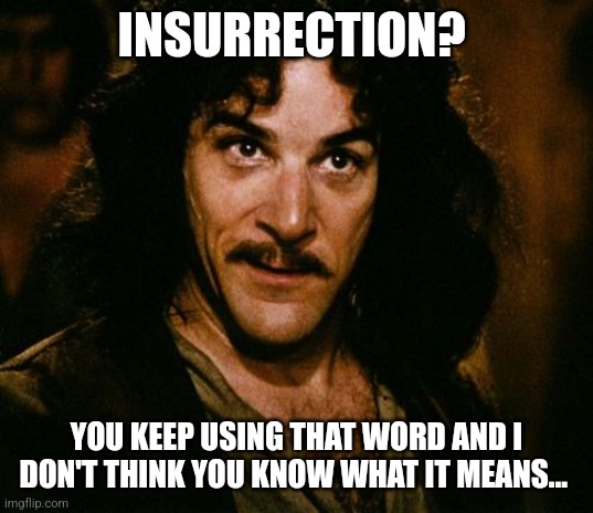 Happy belated insurrection day | INSURRECTION? YOU KEEP USING THAT WORD AND I DON'T THINK YOU KNOW WHAT IT MEANS... | image tagged in you keep using that word,insurrection,january 6th,maga,american corruption,gulag | made w/ Imgflip meme maker
