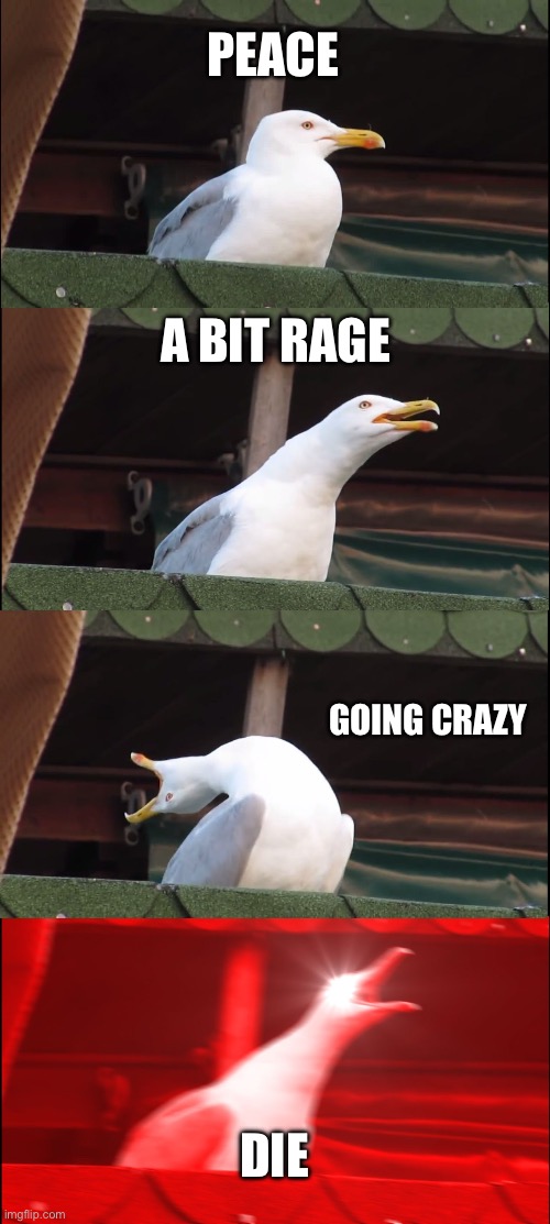 Life of a angry seagull | PEACE; A BIT RAGE; GOING CRAZY; DIE | image tagged in memes,inhaling seagull | made w/ Imgflip meme maker