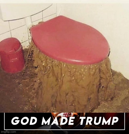 Giving "viral" a new (old) meaning | image tagged in overflowing toilet,trump,god,fanboys,false idols,political ads | made w/ Imgflip meme maker