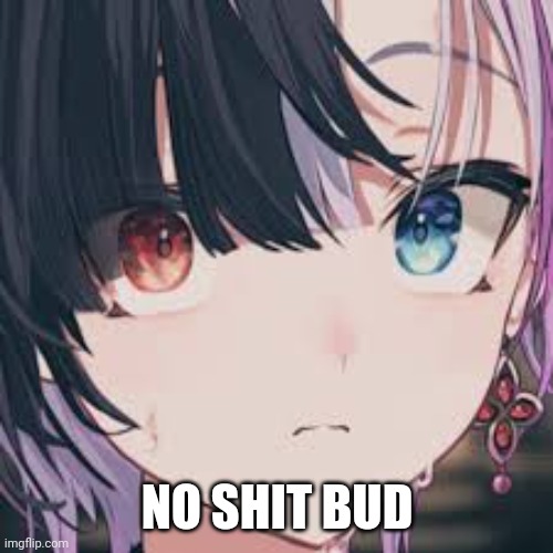 NO SHIT BUD | made w/ Imgflip meme maker