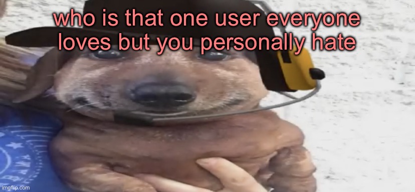 not saying mine cuz they could be online | who is that one user everyone loves but you personally hate | image tagged in chucklenuts | made w/ Imgflip meme maker
