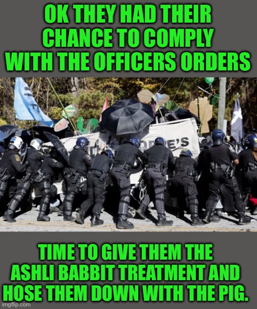 What’s good for the goose is good for the gander | OK THEY HAD THEIR CHANCE TO COMPLY WITH THE OFFICERS ORDERS; TIME TO GIVE THEM THE ASHLI BABBIT TREATMENT AND HOSE THEM DOWN WITH THE PIG. | image tagged in democrats,hypocrisy | made w/ Imgflip meme maker