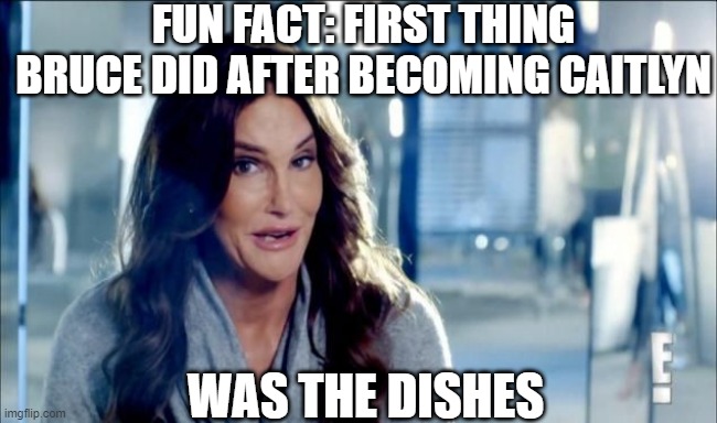 Transition Results | FUN FACT: FIRST THING BRUCE DID AFTER BECOMING CAITLYN; WAS THE DISHES | image tagged in caitlyn jenner shrugs | made w/ Imgflip meme maker