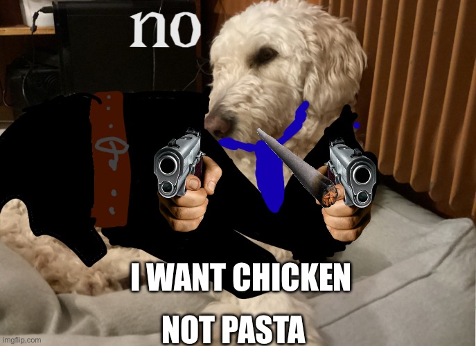 no | I WANT CHICKEN; NOT PASTA | image tagged in no | made w/ Imgflip meme maker