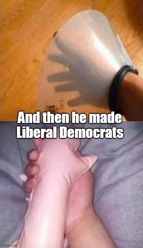 And then he made Liberal Democrats | made w/ Imgflip meme maker