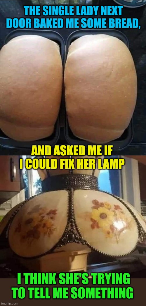 Sus | THE SINGLE LADY NEXT DOOR BAKED ME SOME BREAD, AND ASKED ME IF I COULD FIX HER LAMP; I THINK SHE'S TRYING TO TELL ME SOMETHING | image tagged in booty,bread,lady,lamp,naughty,neighbor | made w/ Imgflip meme maker