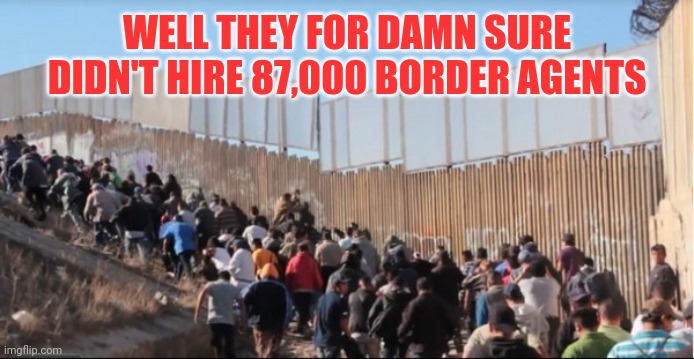 Illegal Immigrants | WELL THEY FOR DAMN SURE DIDN'T HIRE 87,000 BORDER AGENTS | image tagged in illegal immigrants | made w/ Imgflip meme maker
