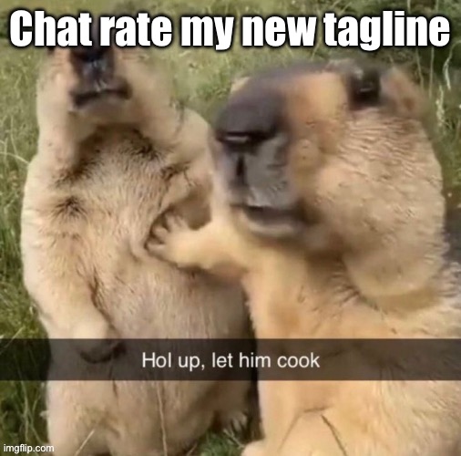 Let him cook | Chat rate my new tagline | image tagged in let him cook | made w/ Imgflip meme maker