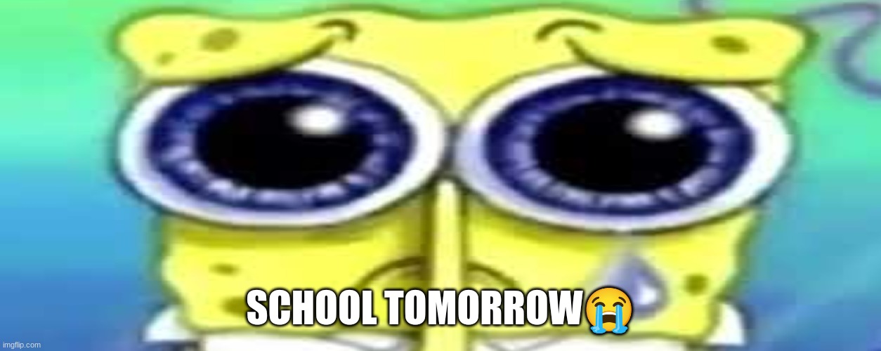 Sad Spong | SCHOOL TOMORROW😭 | image tagged in sad spong | made w/ Imgflip meme maker