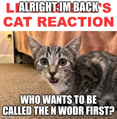 Live Asriel's cat reaction | ALRIGHT IM BACK; WHO WANTS TO BE CALLED THE N WODR FIRST? | image tagged in live asriel's cat reaction | made w/ Imgflip meme maker