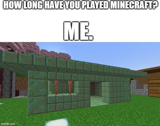 Image tittle | HOW LONG HAVE YOU PLAYED MINECRAFT? ME. | made w/ Imgflip meme maker