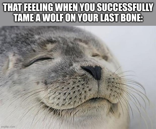 true | THAT FEELING WHEN YOU SUCCESSFULLY TAME A WOLF ON YOUR LAST BONE: | image tagged in memes,satisfied seal | made w/ Imgflip meme maker