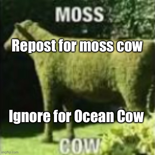 Moss Cow | Repost for moss cow; Ignore for Ocean Cow | image tagged in moss cow | made w/ Imgflip meme maker