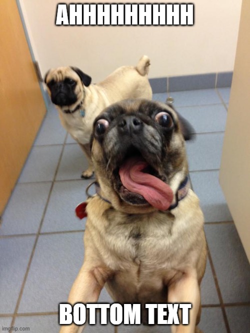 pug love | AHHHHHHHHH; BOTTOM TEXT | image tagged in pug love | made w/ Imgflip meme maker
