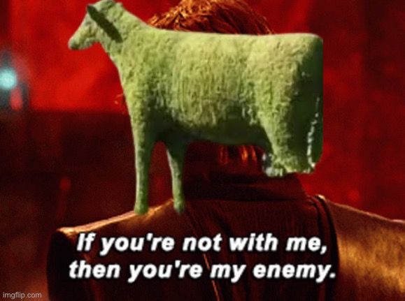 If you’re not with me then you’re my enemy | image tagged in if you re not with me then you re my enemy | made w/ Imgflip meme maker