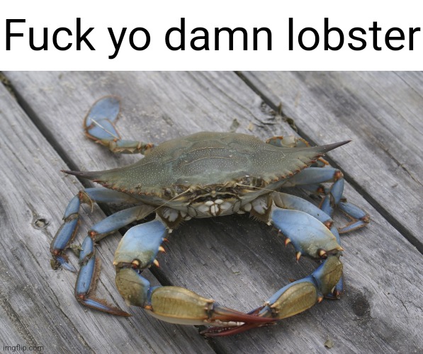 blue crab | Fuck yo damn lobster | image tagged in blue crab | made w/ Imgflip meme maker