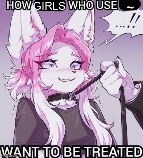 how girls that use :3 want to be treated blank | GIRLS; ~ | image tagged in how girls that use 3 want to be treated blank | made w/ Imgflip meme maker