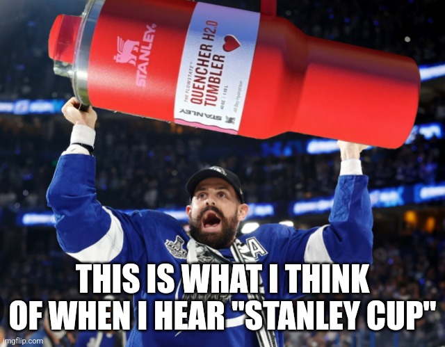 A man's stanley cup | THIS IS WHAT I THINK OF WHEN I HEAR "STANLEY CUP" | image tagged in stanley cup,target,starbucks,popular | made w/ Imgflip meme maker