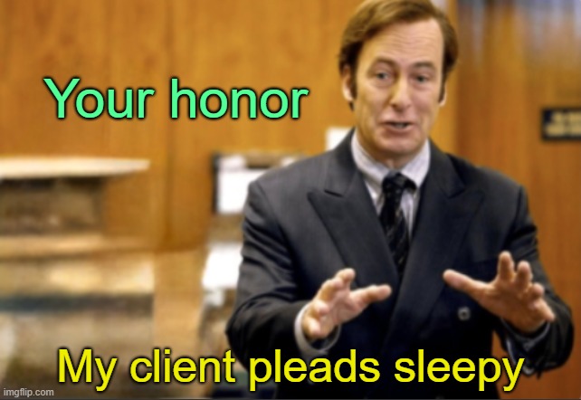 . | Your honor; My client pleads sleepy | image tagged in saul goodman defending | made w/ Imgflip meme maker