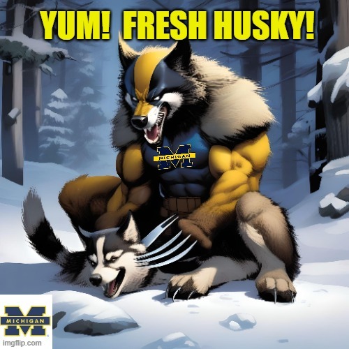 Fresh Husky! | image tagged in university of michigan,washington,national championship,wolverine,husky | made w/ Imgflip meme maker