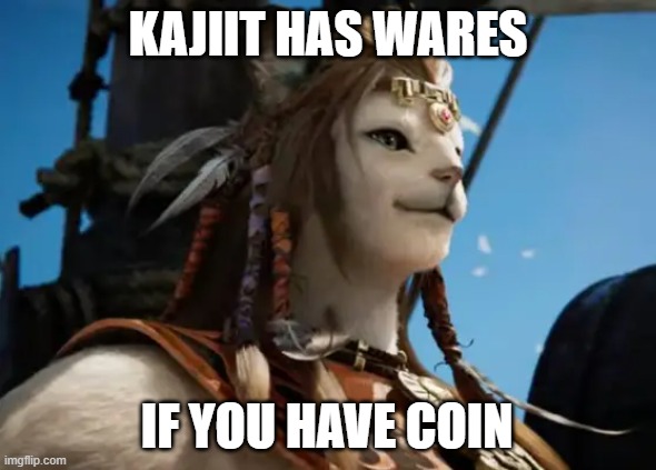FFXIV Kajiit has wares | KAJIIT HAS WARES; IF YOU HAVE COIN | image tagged in video games,skyrim,skyrim meme,final fantasy | made w/ Imgflip meme maker