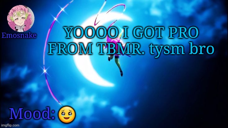 Emosnake's Mitsuri template | YOOOO I GOT PRO FROM TBMR. tysm bro; 🥹 | image tagged in emosnake's mitsuri template | made w/ Imgflip meme maker