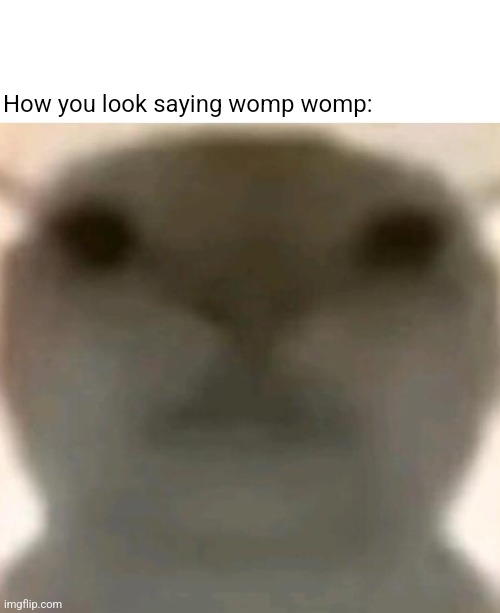 Womp womp | How you look saying womp womp: | made w/ Imgflip meme maker