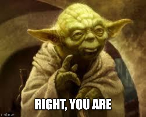 yoda | RIGHT, YOU ARE | image tagged in yoda | made w/ Imgflip meme maker